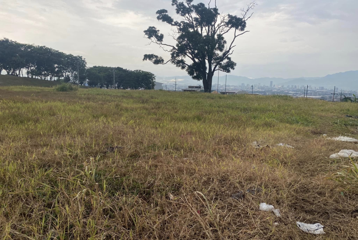 Lote Heredia, Frente al hospital