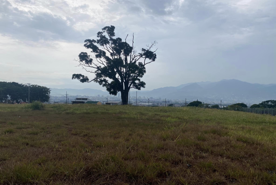 Lote Heredia, Frente al hospital