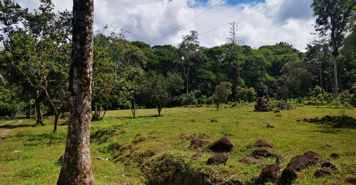 Terreno Guápiles